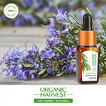 Buy Organic Harvest Rosemary (10 ml) - Purplle