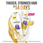 Buy Pantene Daily Moisture Renewal Shampoo (340 ml) - Purplle