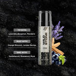 Buy Wild Stone Deodorant Stone (120 ml) - Purplle
