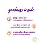 Buy Plum Grape Seed & Sea Buckthorn Lightstay Day Cream SPF 30 (60 ml) - Purplle