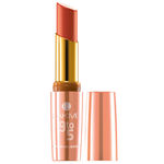 Buy Lakme 9 To 5 Creaseless Creme Lip Color CR6 Brick Blast (3.6 g) - Purplle