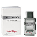Buy Salvatore Ferragamo Attimo Pour Homme For Men (100 ml) - Purplle