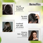 Buy Aryanveda Anti Dandruff Shampoo (1000 ml) - Purplle