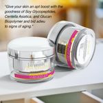 Buy Aryanveda Anti Wrinklend Cream (50 ml) - Purplle
