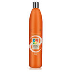 Buy Aryanveda Coloured & Fizzing Shampoo (1000 ml) - Purplle