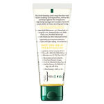 Buy Biotique Bio Pineapple Oil Control Foaming Face Wash (50 ml) - Purplle