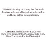 Buy Biotique Bio Pineapple Oil Control Foaming Face Wash (50 ml) - Purplle