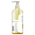 Buy Biotique Bio Pinapple Oil Control Foaming Face Wash (300 ml) - Purplle