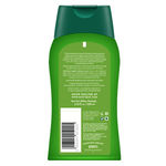 Buy Biotique Green Apple Fresh Daily Purifying Shampoo & Conditioner (200ml) - Purplle