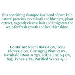 Buy Biotique Bio Kelp Protein Shampoo For Falling Hair Intensive Hair Growth Treatment (200ml) - Purplle