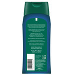 Buy Biotique Bio Kelp Protein Shampoo For Falling Hair Intensive Hair Growth Treatment (400 ml) - Purplle