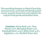 Buy Biotique Bio Kelp Protein Shampoo For Falling Hair Intensive Hair Growth Treatment (400 ml) - Purplle