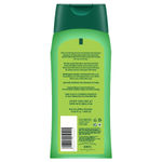 Buy Biotique Bio Neem Margosa Anti-Dandruff Shampoo & Conditioner (400ml) - Purplle