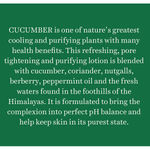 Buy Biotique Bio Cucumber Pore Tightening Toner With Himalaya Waters (120 ml) - Purplle