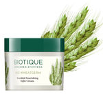 Buy Biotique Bio Wheatgerm Youthful Nourishing Night Cream (50 g) - Purplle