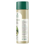 Buy Biotique Bio Avocado Stress Relief Body Massage Oil (200 ml) - Purplle