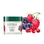Buy Biotique Bio Berry Plumping Lip Balm (12 g) - Purplle