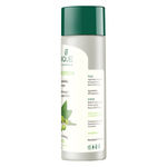 Buy Biotique Bio Soya Protein Fresh Naurishing Shampoo For Dry Damaged Color Treated & Permed Hair -(120 ml) - Purplle