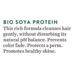 Buy Biotique Bio Soya Protein Fresh Naurishing Shampoo For Dry Damaged Color Treated & Permed Hair -(120 ml) - Purplle