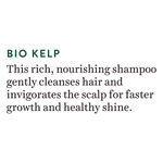 Buy Biotique Bio Kelp Protein Shampoo For Falling Hair (800 ml) - Purplle