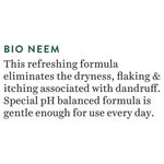 Buy Biotique Bio Neem Margosa Anti-Dandruff Shampoo & Conditioner (800ml) - Purplle