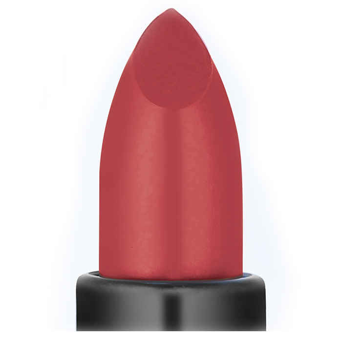 Buy NELF USA Success Velvet Touch Lipstick (4.2 g) - Purplle