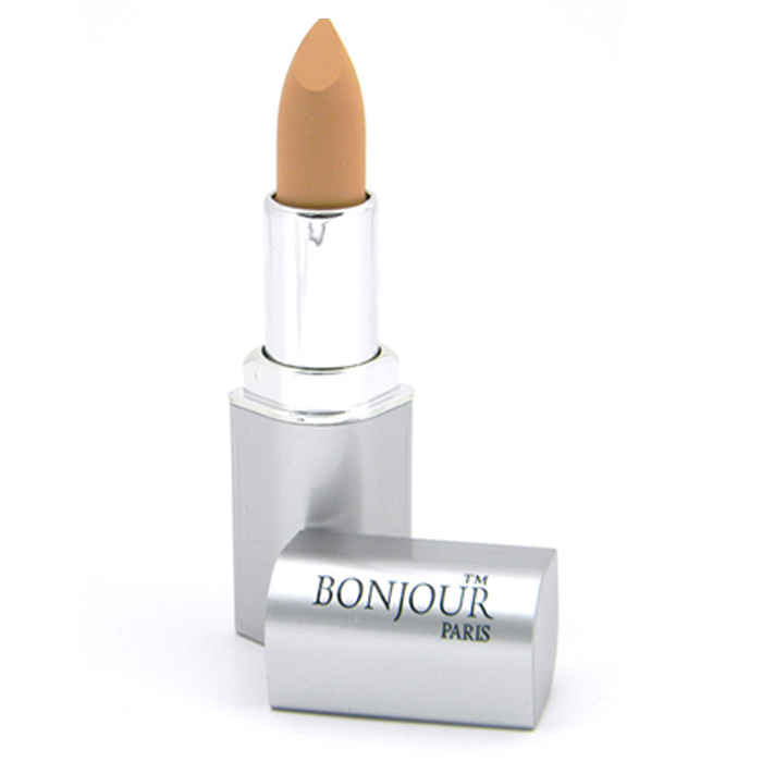 Buy Bonjour Paris Concealer Pan Stick - Fair To Wheatish (4.2 g) - Purplle