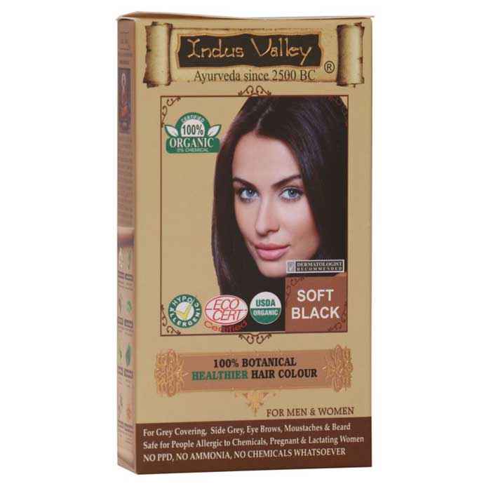 Buy Indus Valley 100% Botanical Organic Healthier Hair Colour Soft Black One Touch/Trial Pack (30 g) - Purplle