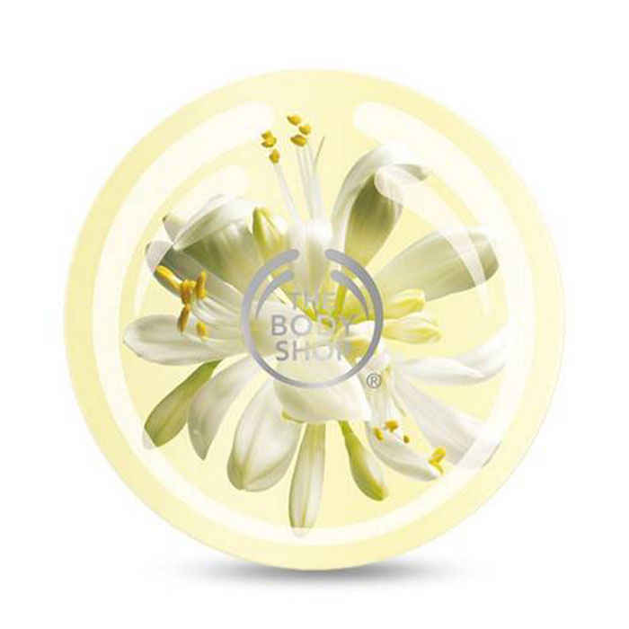 Buy The Body Shop Body Butter Moringa (200 ml) - Purplle