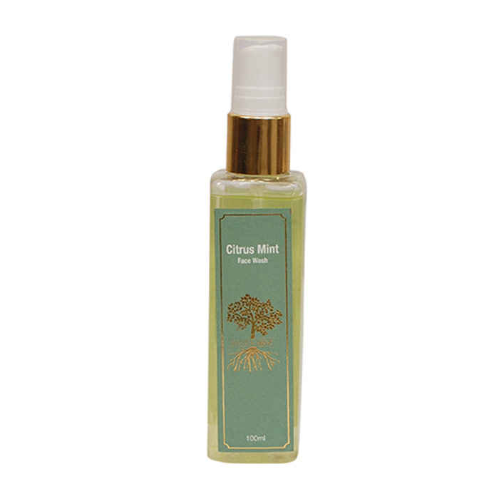 Buy Roots & Above Citrus Mint Face Wash (100 ml) - Purplle