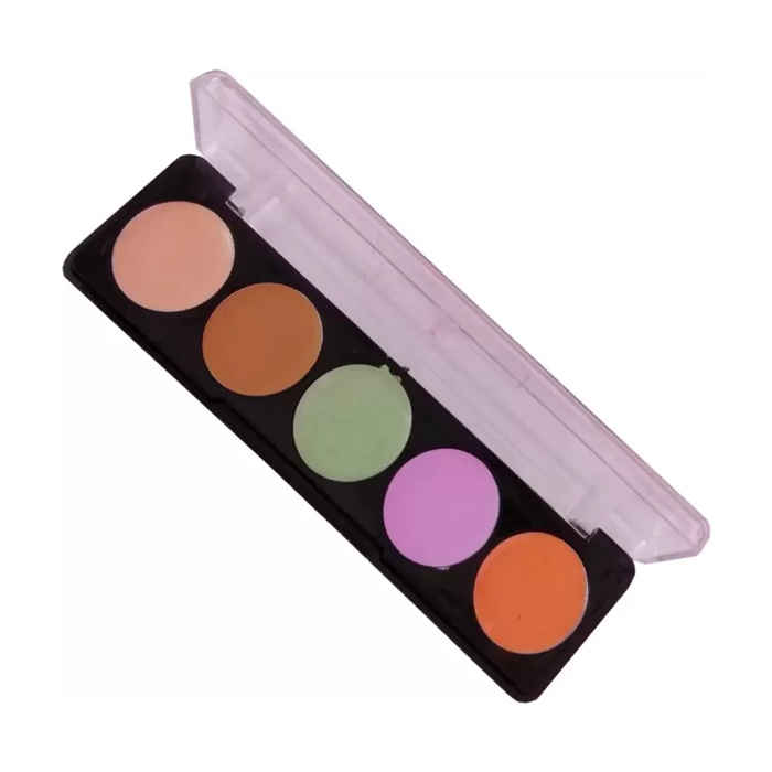 Buy Miss Rose Miss Rose Makeup Professional Kit Concealer (Black) - Purplle