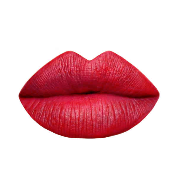 Buy Vipera Lipstick Elite Matte 118 Florid Rococo (4 g) - Purplle