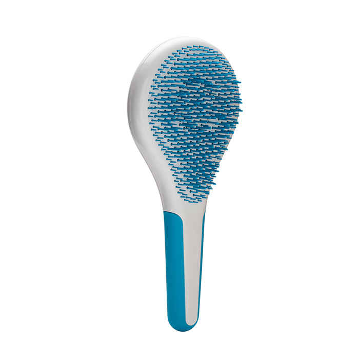 Buy Michel Mercier by Kampalook Spa Anti Slip Detangling Brush For Thick Hair - Purplle