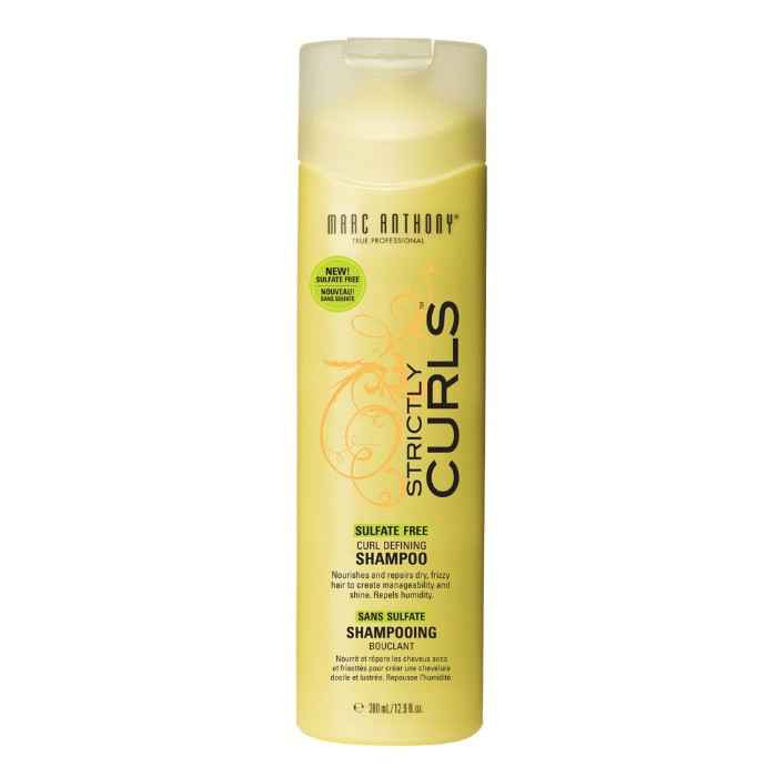 Buy Marc Anthony Strictly Curls Sulfate Free Curl Defining Shampoo (380 ml) - Purplle