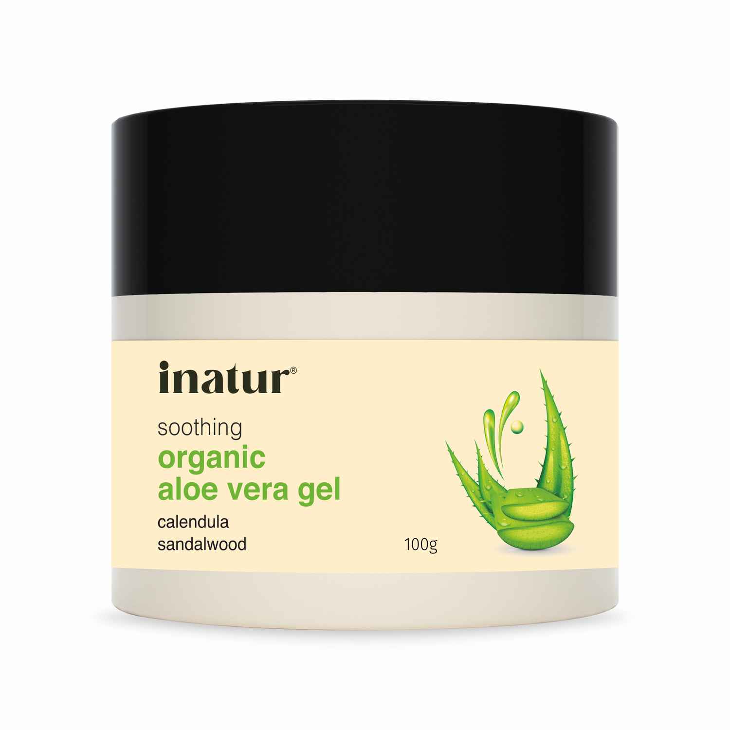 Buy Inatur Aloe Vera Gel (100 g) - Purplle