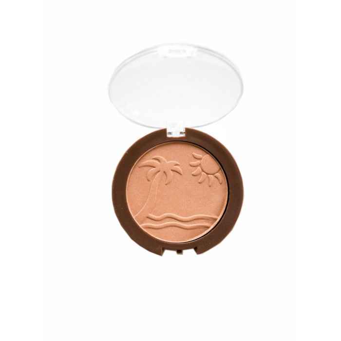 Buy Make up for Life Professionla Bronzer -01 (9 g) - Purplle