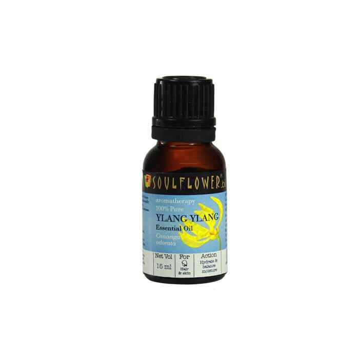Buy Soulflower Essential Oil Ylang Ylang (15 ml) - Purplle