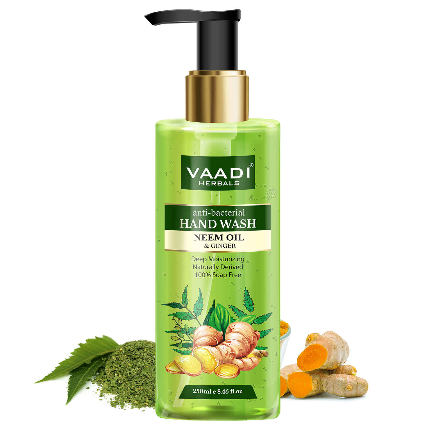 Buy Vaadi Herbals Anti-Bacterial Neem Oil & Ginger Hand Wash (250 ml) - Purplle