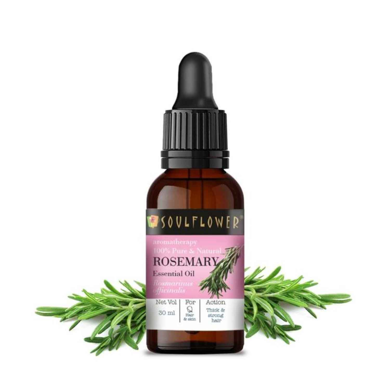 Buy Soulflower Essential Oil Rosemary (30 ml) - Purplle