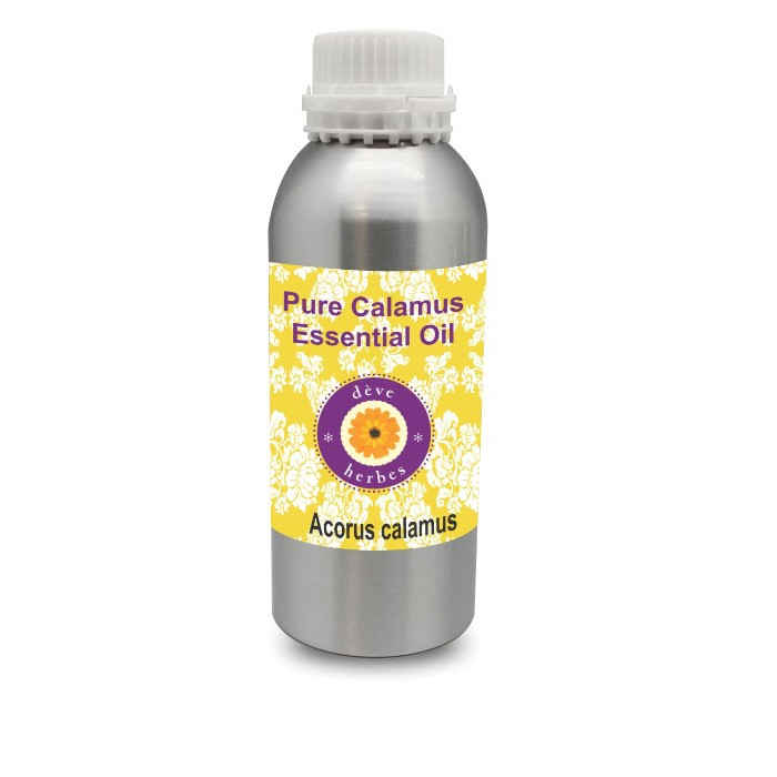Buy Deve Herbes Pure Calamus Essential Oil (Acorus calamus) 100% Natural Therapeutic Grade Steam Distilled (630 ml) - Purplle