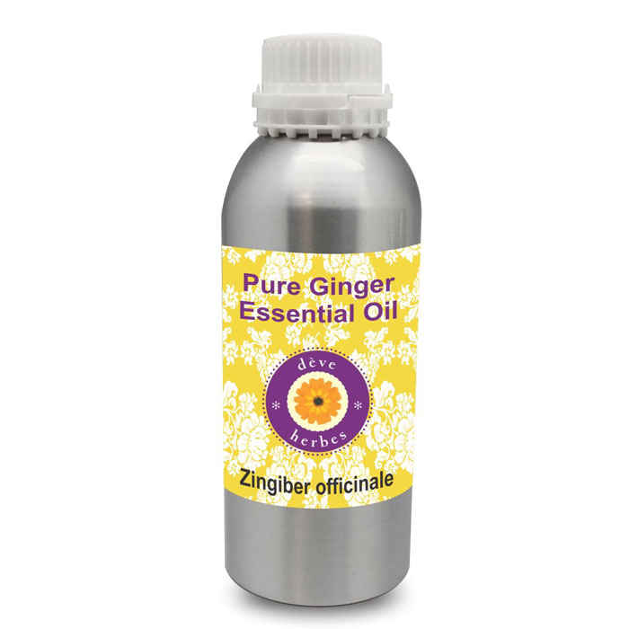 Buy Deve Herbes Pure Ginger Essential Oil (Zingiber officinale) Natural Therapeutic Grade Steam Distilled 630ml - Purplle