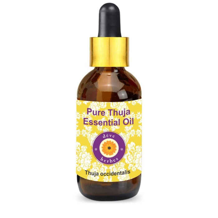 Buy Deve Herbes Pure Thuja Essential Oil (Thuja occidentalis) with Glass Dropper Natural Therapeutic Grade Steam Distilled 10ml - Purplle