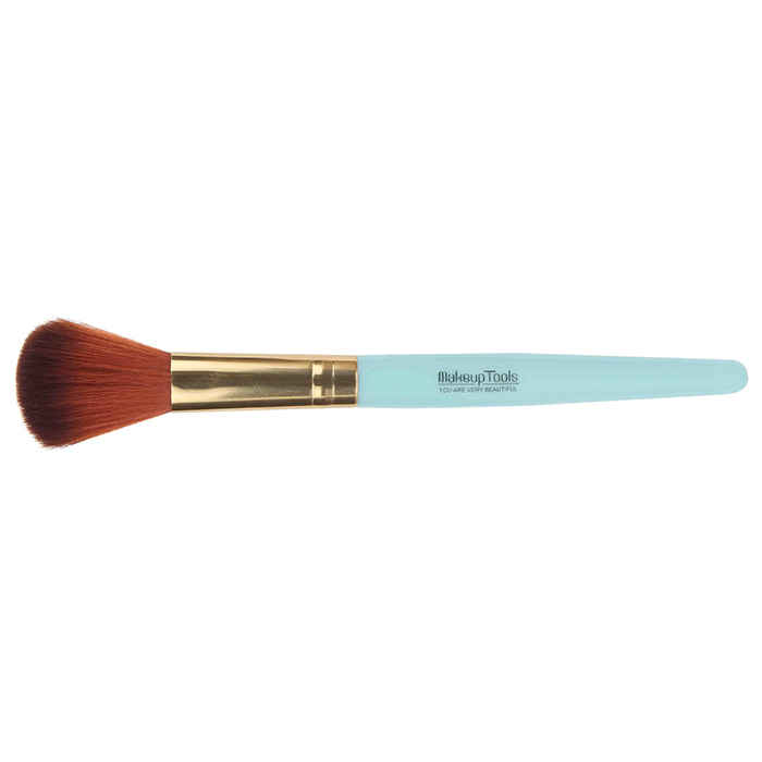 Buy Paco Milano PMB10 Makeup brushes (Color May Vary) - Purplle