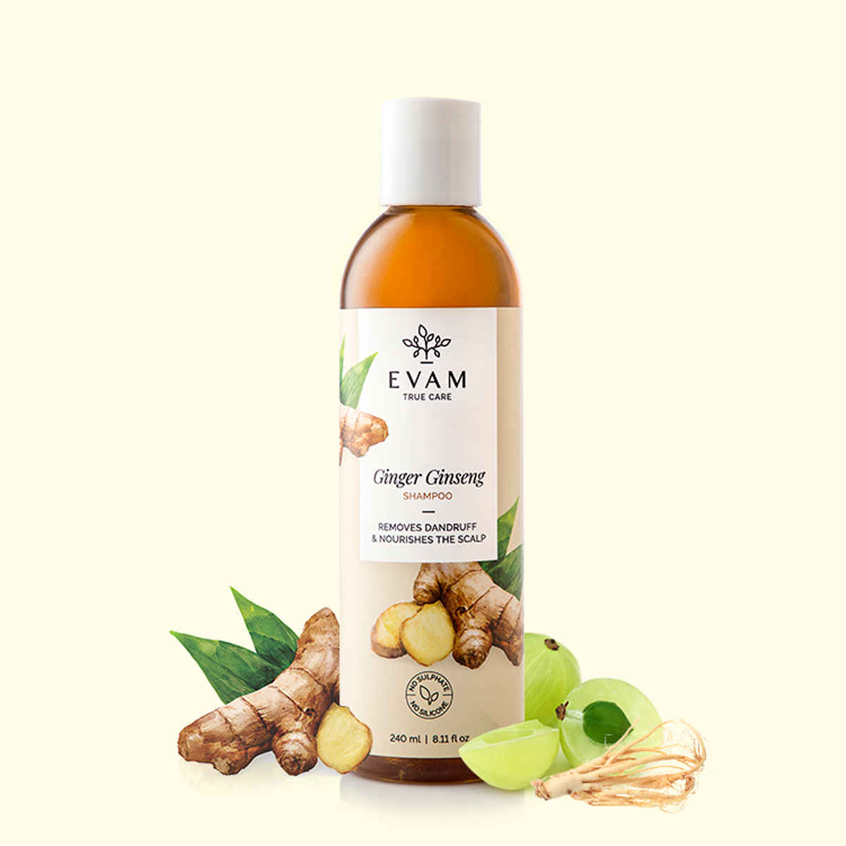Buy Evam Ginger Ginseng Shampoo (240 ml) - Purplle