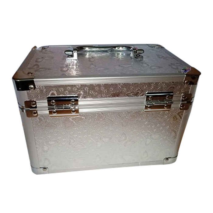 Buy Gorgio Professional Large Trousseau Box Silver GMT004 - Purplle