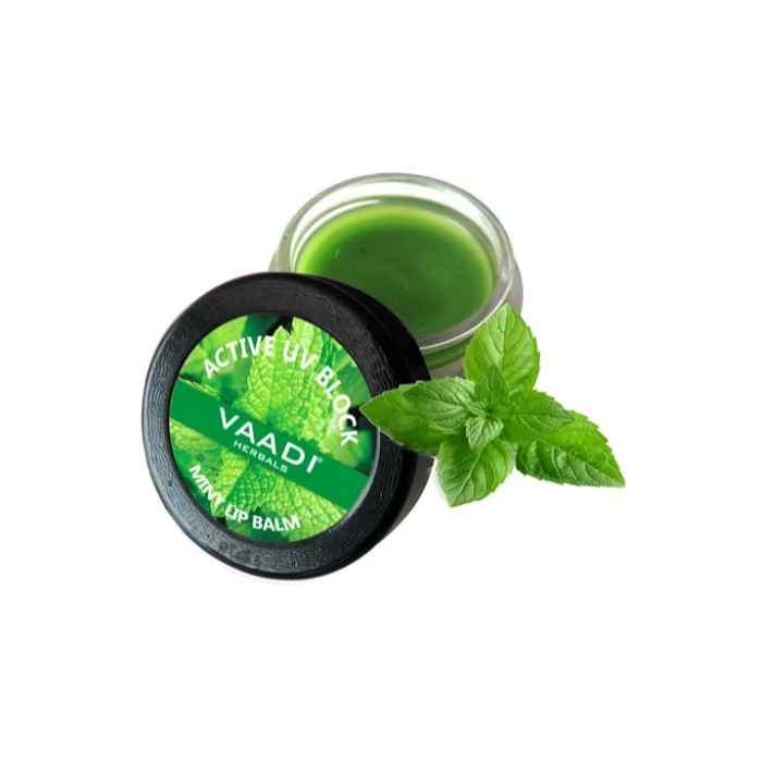 Buy Vaadi Herbals Lip Balm Mint (10 g) - Purplle