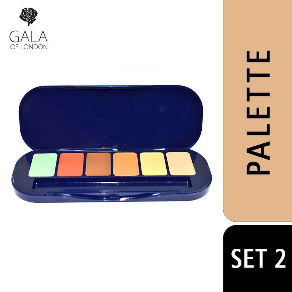 Buy Gala of London HD Concealer and Foundation Palette - Set 2 - Purplle