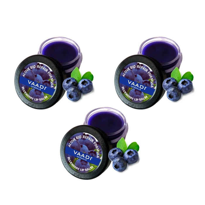 Buy Vaadi Herbals Lip Balm Blueberry (10 g) Pack of 3 - Purplle