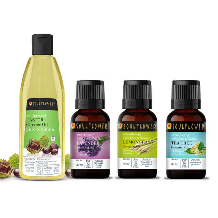 Buy Soulflower Dry Flaky Scalp Care Monthly Routine 4 Pcs - Purplle