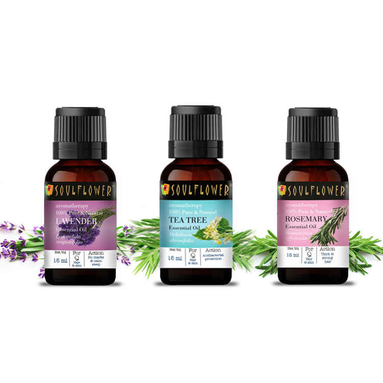 Buy Soulflower Rosemary Lavender & Tea Tree Essential Oil Combo for nourished skin and hair 3 gm - Purplle